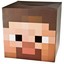 minecraft!!!!!!