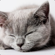 ♕ Kot Murzik ♕ magicdrop.ru