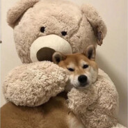 小姨的原味黑丝