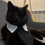 MR. BUSINESS