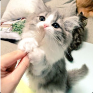 Tom丶子璟