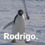 Rodrigo.