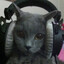 fifi