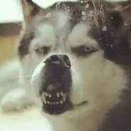 从零开始 菜鸟头目