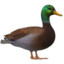 Ducky Abi