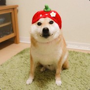 红鲤鱼与绿鲤鱼与驴