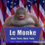 Monkey