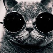 GUF<3 - steam id 76561197960372215