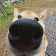 知道你很急但你先别急