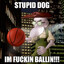 Stupid Dog Im Ballin&#039;