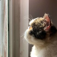 深情负我又何必执着