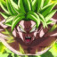 BROLY_RS7