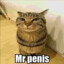Mr. Penis