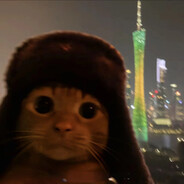 AAA、桥洞底下盖小被儿