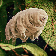 Master of Telescopes