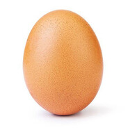 Egg