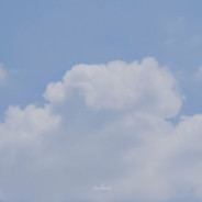 E你妈脸上光速qa