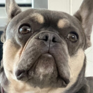 This guy plumbs.