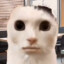 66