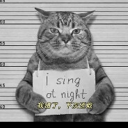 顺风快递    想寄就寄