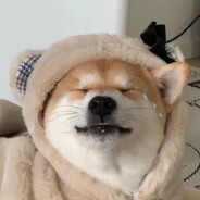 全是老六玩尼玛