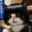 小菜