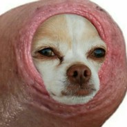 Шальная Залупа