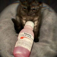 lidd - steam id 76561198302403515