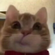 压力我追追缩短10cm