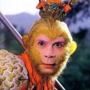 花果山第一狙美猴王