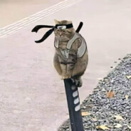 坐在坟头调戏鬼