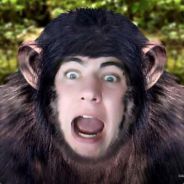 Keyboard Monkey Dan