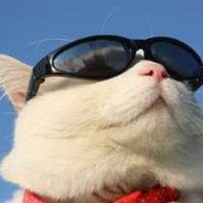 毕业赚钱买小鹏