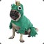 Frogdog438