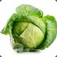 cabbages