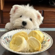椒麻大盘茶香钵钵鸡