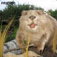 Marwe - steam id 76561197988340882