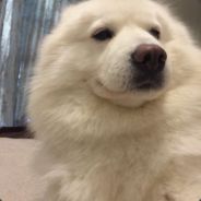 life is fucking movie