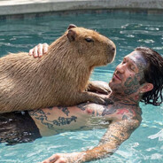 фанатка Ганвеста