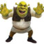 GET_SHREK.T