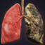 Black Lung