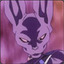 Beerus fan