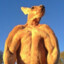 KANGAROO
