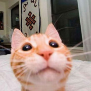 Kiuwu - steam id 76561198299789282