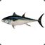 Thunfisch
