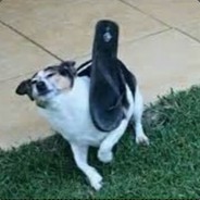 [  ] avatar