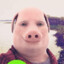 John Pork