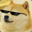 ⍟ Doge ⍟