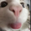 123123