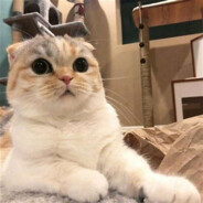 我的狙有自己的想法